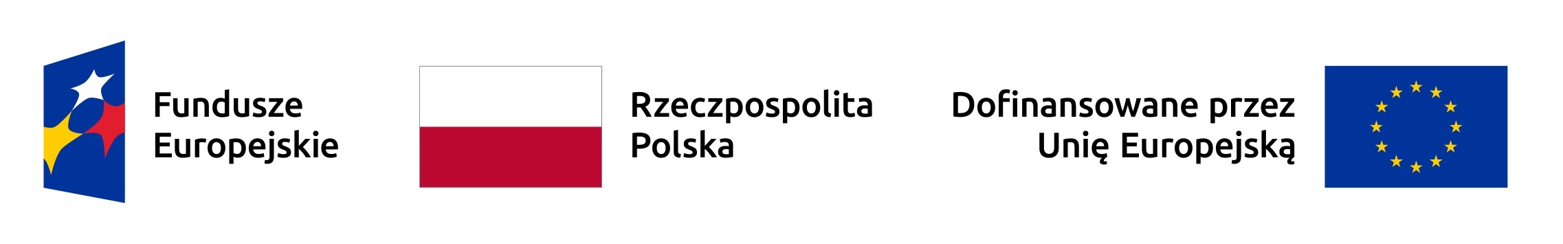 FE RP UE rgb kolor poziom jpg